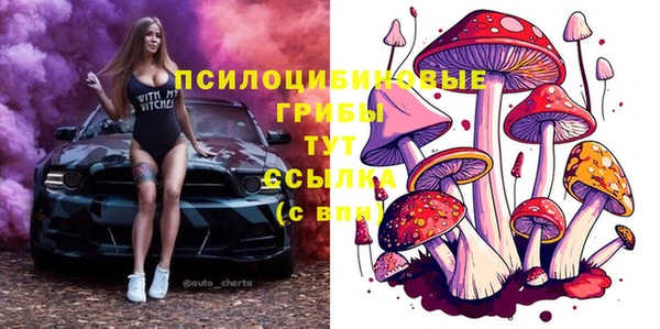 твердый Абинск