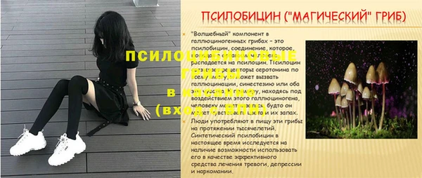 твердый Абинск