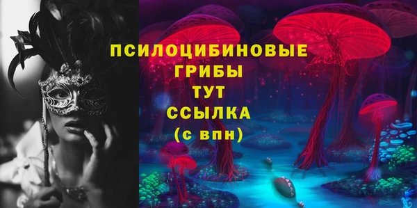 твердый Абинск