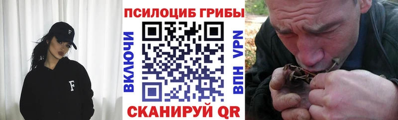 Псилоцибиновые грибы прущие грибы  Спас-Клепики 
